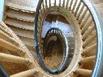 woodcurved